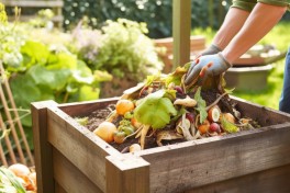 10 benefcios da compostagem para melhorar a fertilidade do solo e reduzir resduos agrcolas