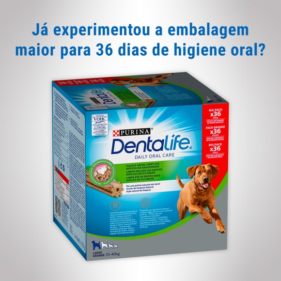 SNACK DENTAL PARA CO