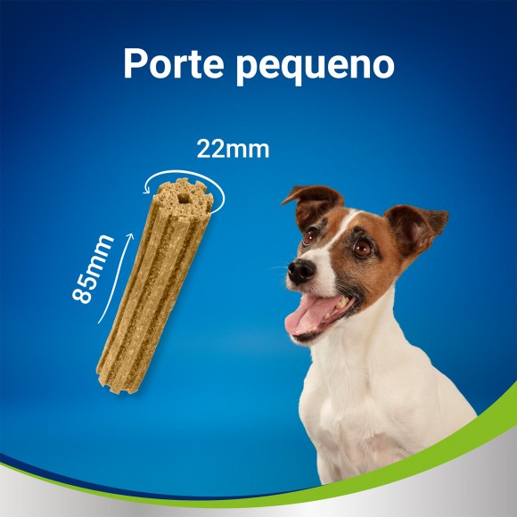 PACK SNACK DENTAL PARA CO