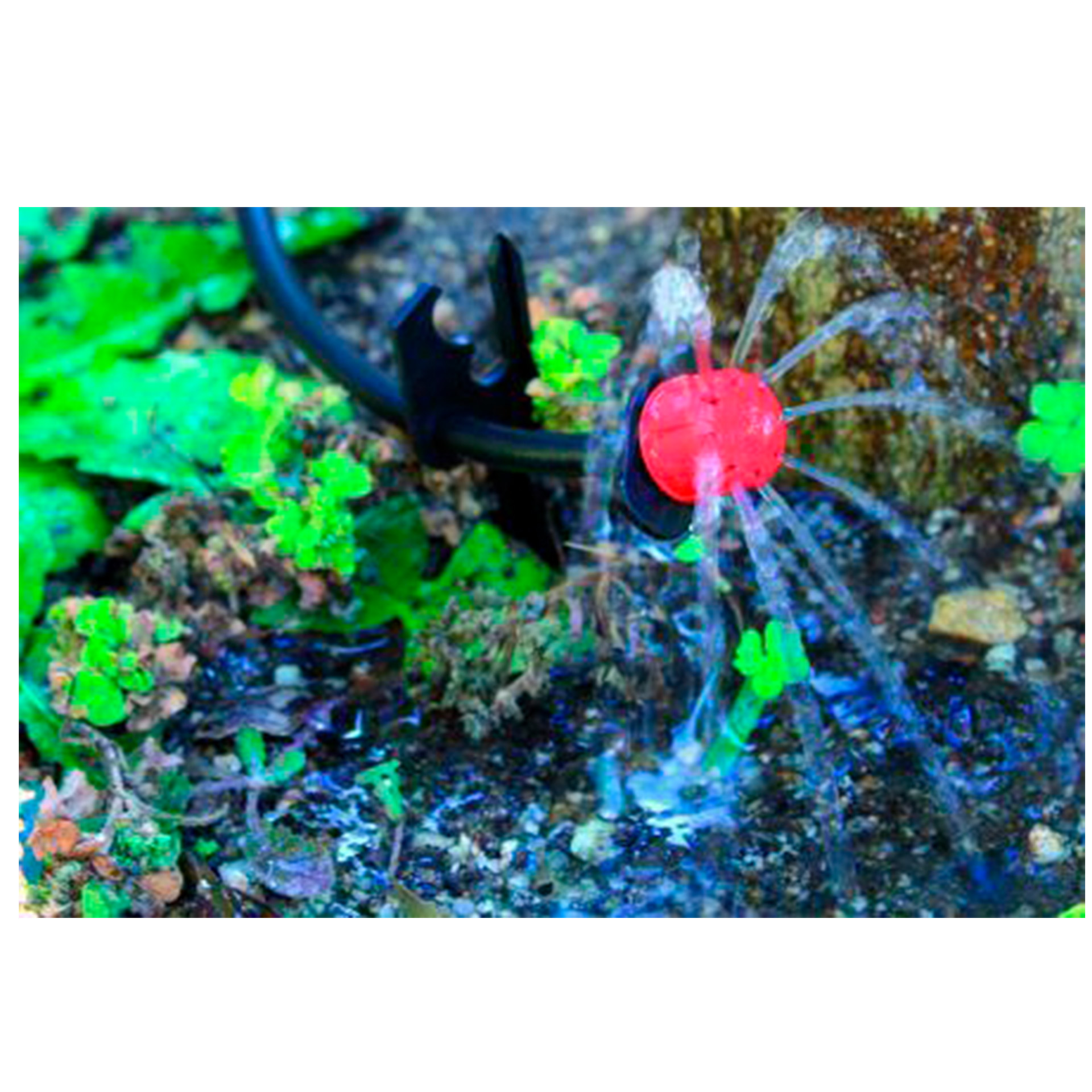 Inundador Regul 0-60 L/H 25UN AQUA CONTROL