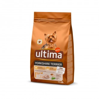 ALIMENTO SECO P/CO YORKSHIRE FRANGO 1,5 KG