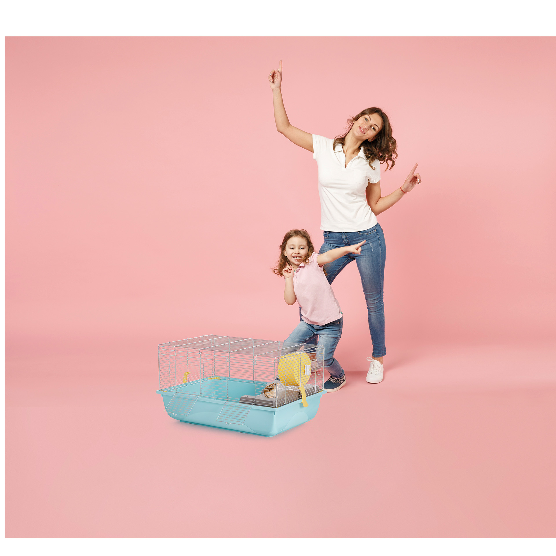 Gaiola Roedor Criceti 61X42X26,5 CM SORT IMAC