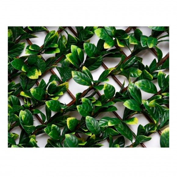 GELOSIA FOLHAS LAUREL 1 X 2 M