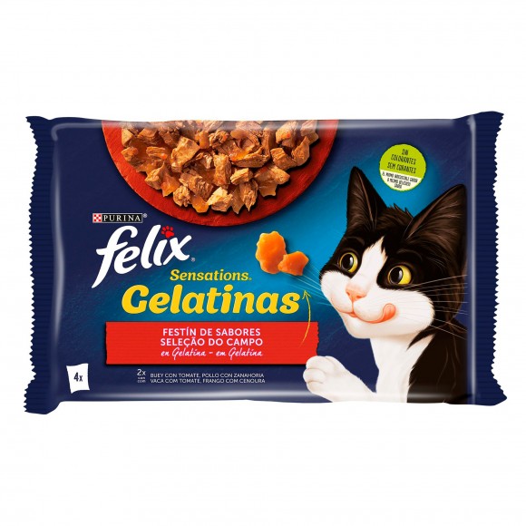 ALIMENTO HMIDO P/GATO FANTASTIC FAVORITOS 4X85 GR