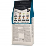 ALIMENTO SECO PARA GATO CLASSIC CAT PEIXE 1,5 KG