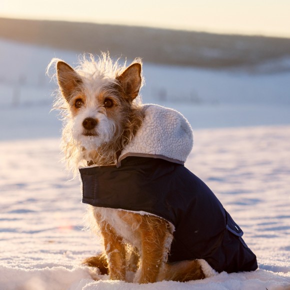 Capa Para C�o Imperme�vel Com Pelo 30 CM KERBL