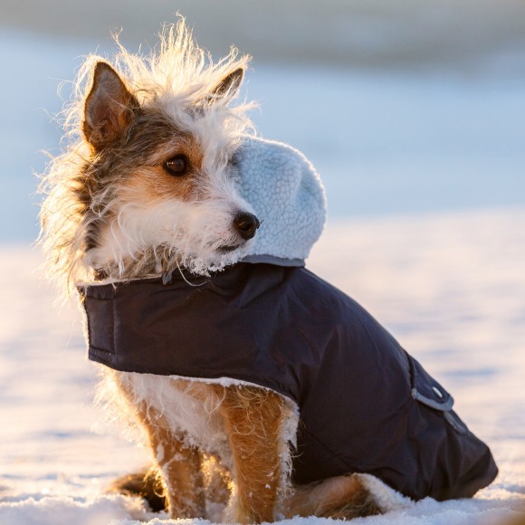 Capa Para C�o Imperme�vel Com Pelo 30 CM KERBL