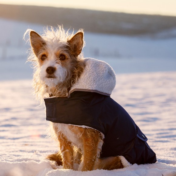 Capa Para C�o Imperme�vel Com Pelo 55 CM KERBL