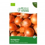 Cebola Stuttgarter 2 G SEMENTES VIVAS Cebola Stuttgarter 2 G SEMENTES VIVAS