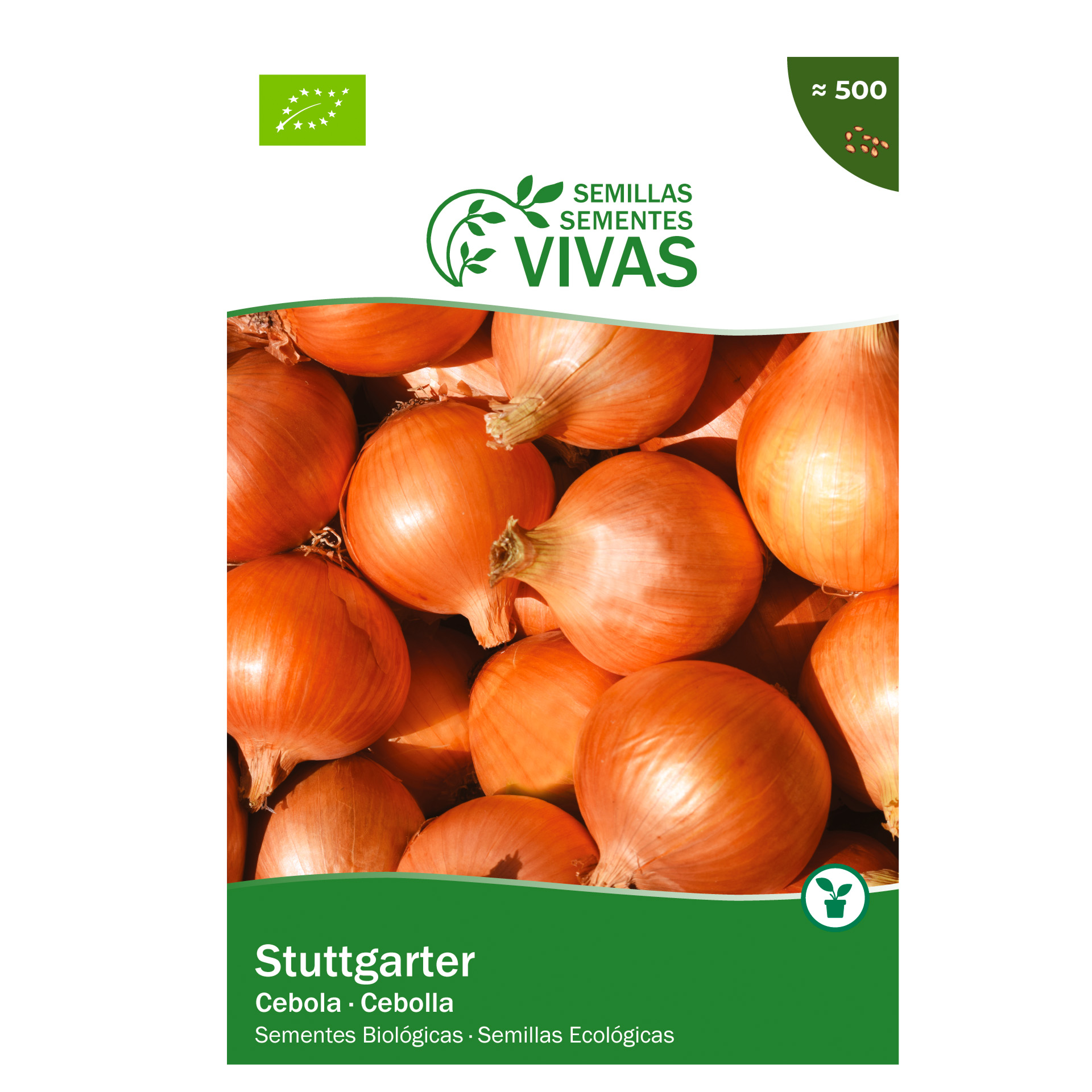 Cebola Stuttgarter 2 G SEMENTES VIVAS