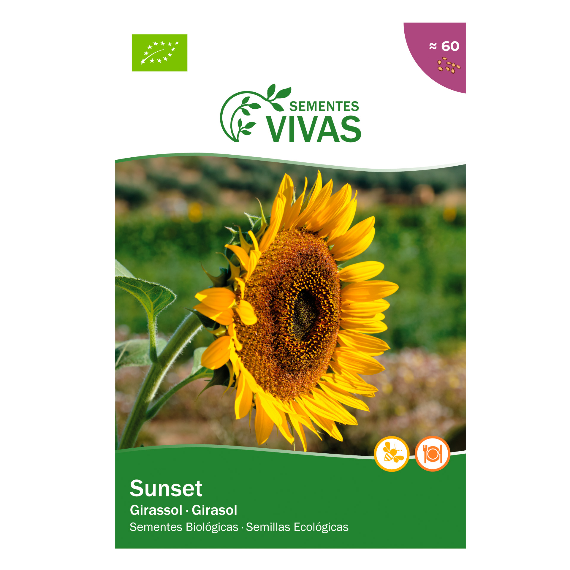 Girassol Sunset 1,5 G SEMENTES VIVAS