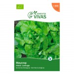 Alface Maycrop 1 G SEMENTES VIVAS Alface Maycrop 1 G SEMENTES VIVAS