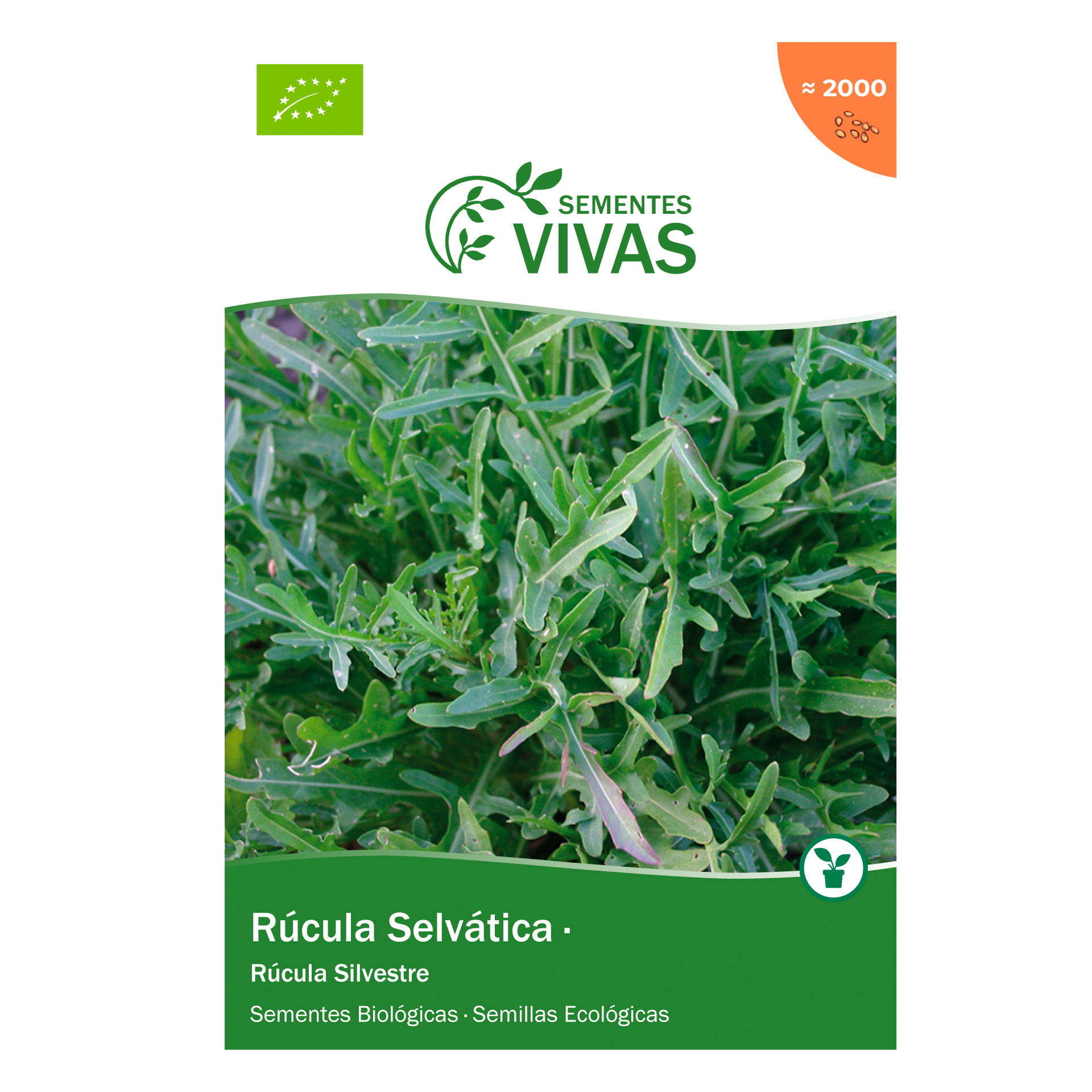 Rúcula Selvática 1 G SEMENTES VIVAS