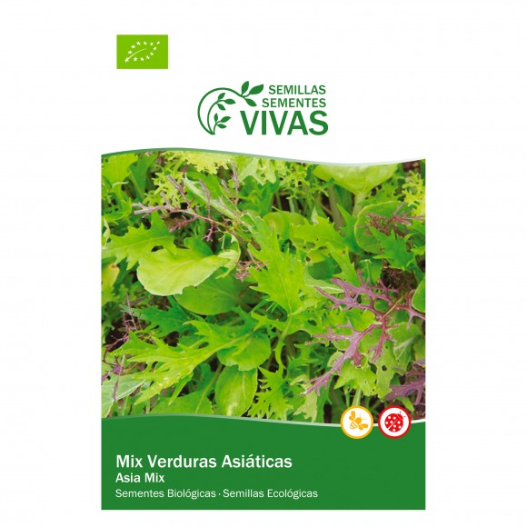 Verdura Asiática Mistura Variedades 2 G SEMENTES V Verdura Asiática Mistura Variedades 2 G SEMENTES V