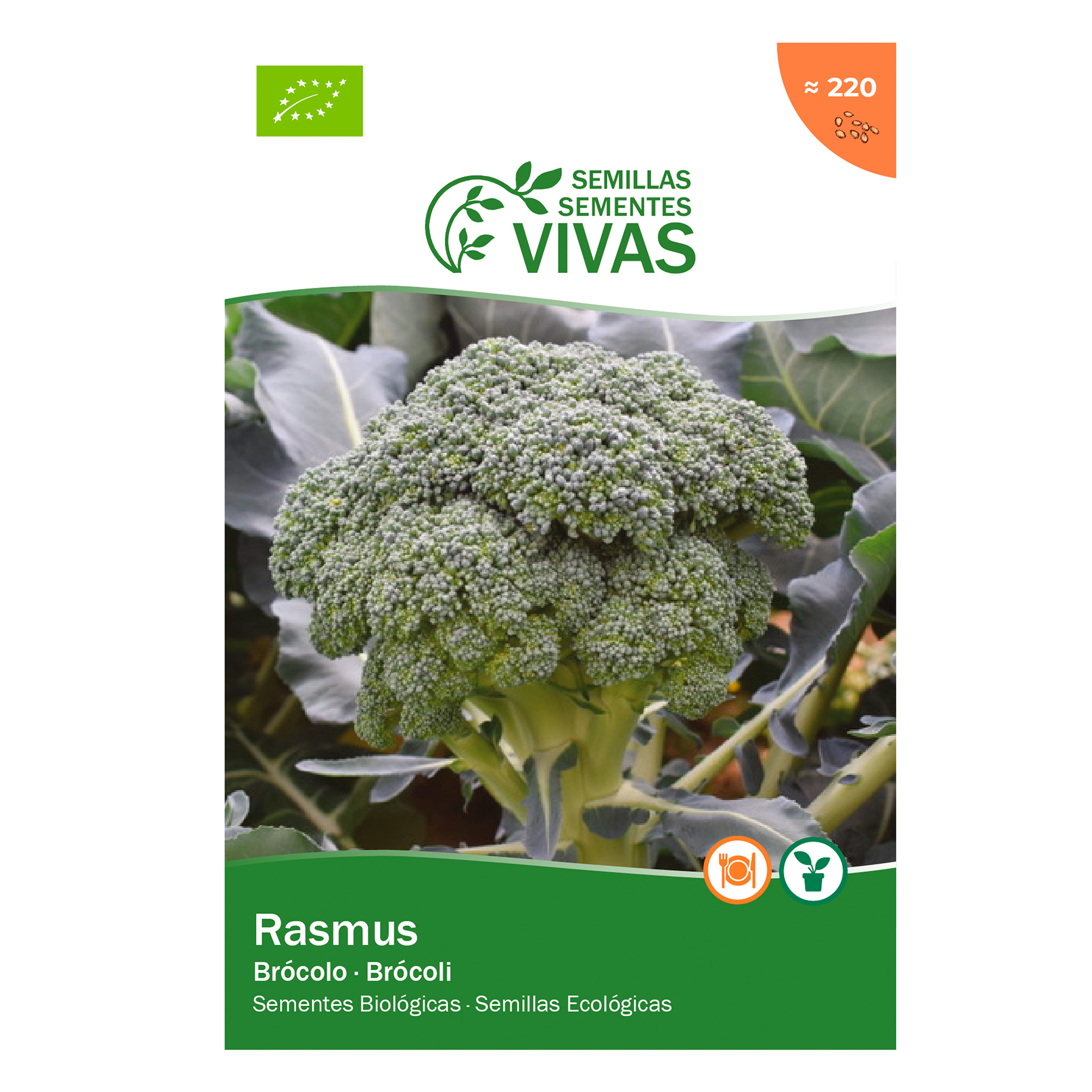 Brocolo Rasmus 1 G SEMENTES VIVAS