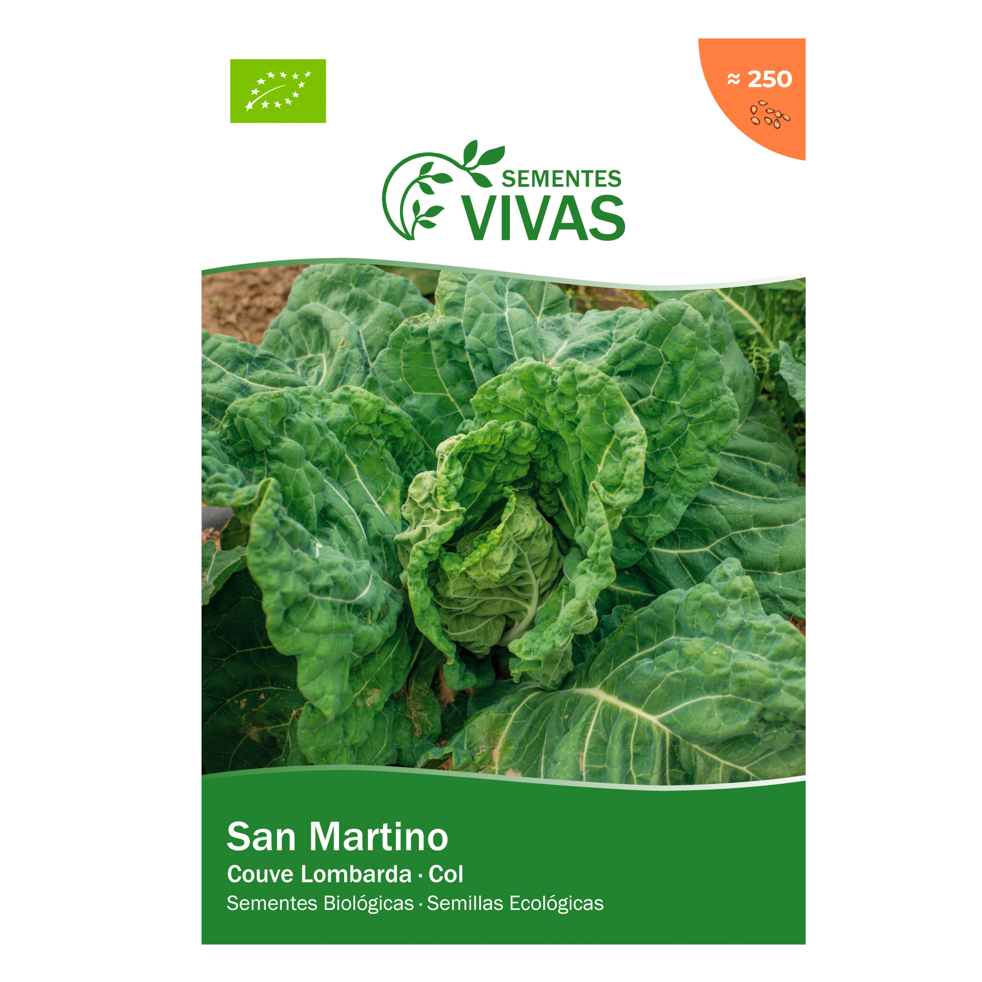 Couve San Martino 1 G SEMENTES VIVAS