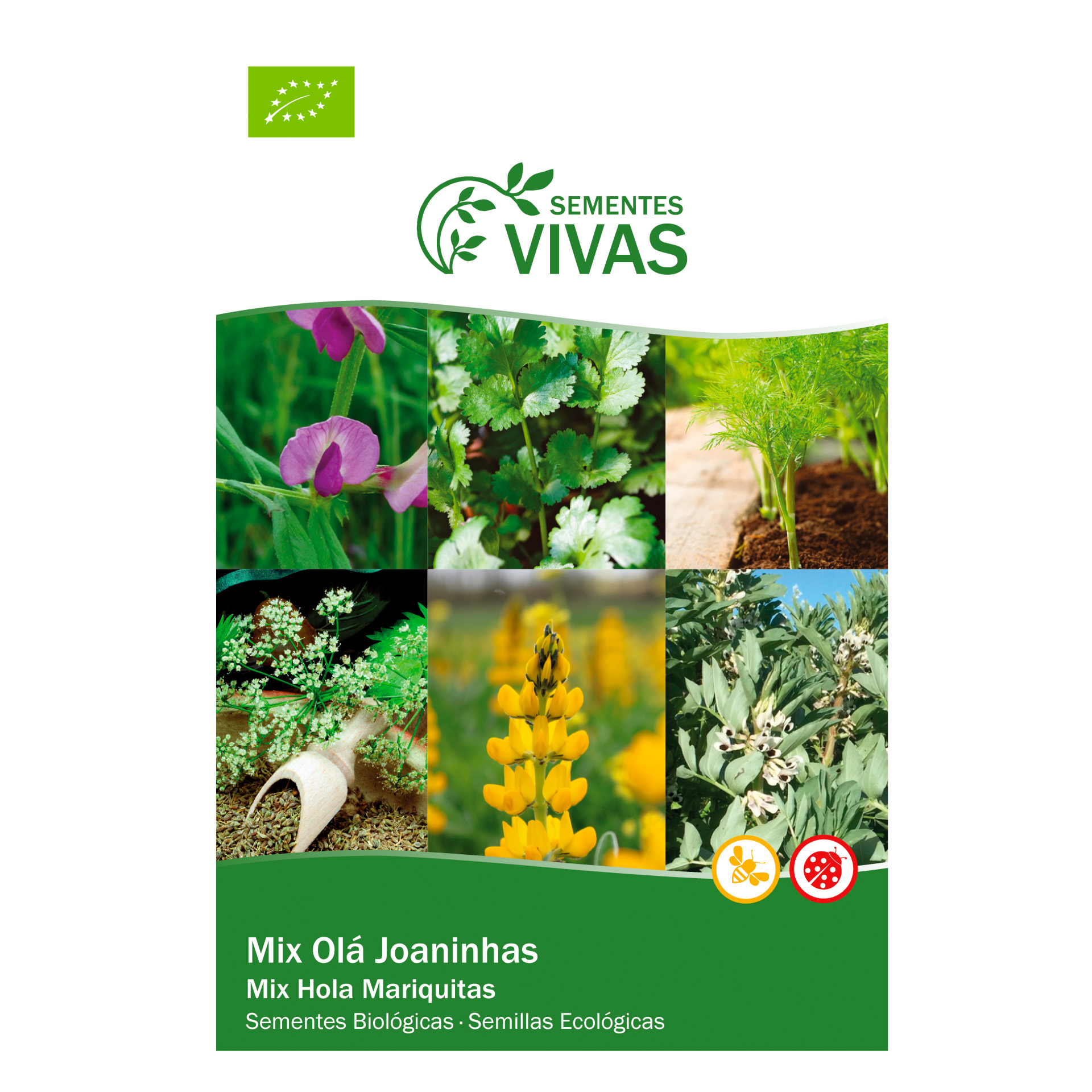 Olá Joaninhas Mix 10 G SEMENTES VIVAS