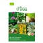 Ol Joaninhas Mix 10 G SEMENTES VIVAS