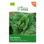Couve San Martino 1 G SEMENTES VIVAS Couve San Martino 1 G SEMENTES VIVAS