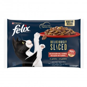 Alimento Hmido Gato Deliciousl Campo 4X80 G FELIX