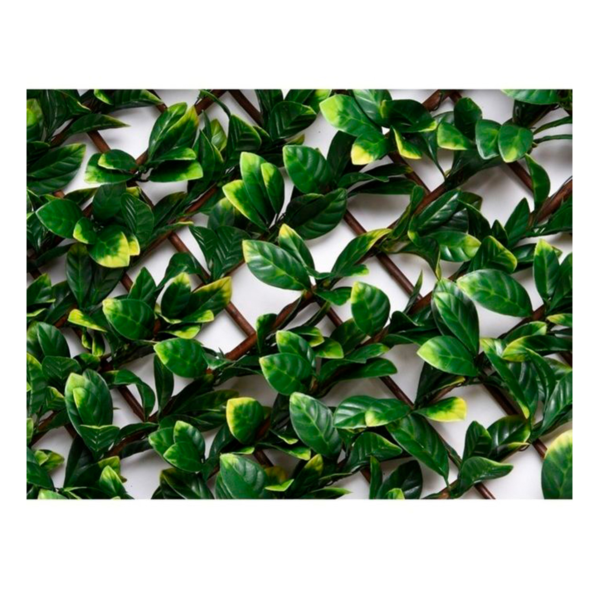 Gelosia Folhas Laurel 1X2 M FAURA