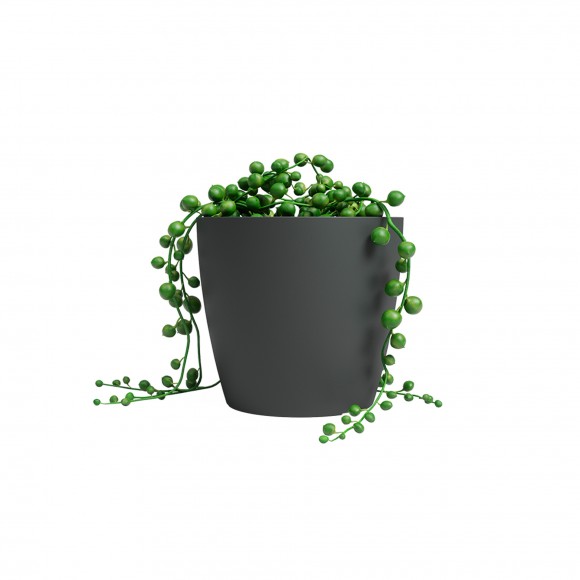 VASO SAN REMO MATE