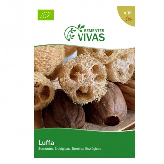 Luffa 15 Sementes SEMENTES VIVAS