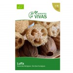 Luffa 15 Sementes SEMENTES VIVAS Luffa 15 Sementes SEMENTES VIVAS