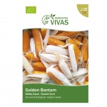 Milho Doce 10 G SEMENTES VIVAS Milho Doce 10 G SEMENTES VIVAS