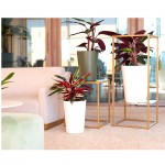 Vaso Porto Alto Branco 80 CM ARTEVASI