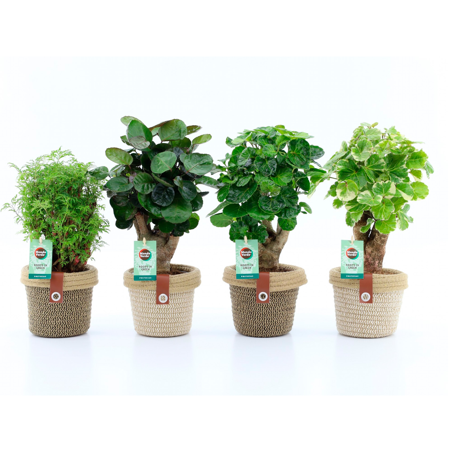 Dispensad C/15 Sacos Dejetos Cão Eco EARTH RATED