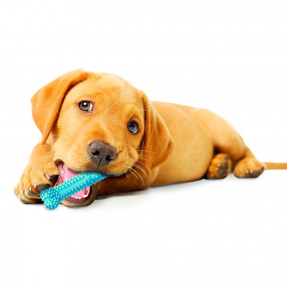 Osso Nylon Para Cachorro Roer Frango XS NYLABONE