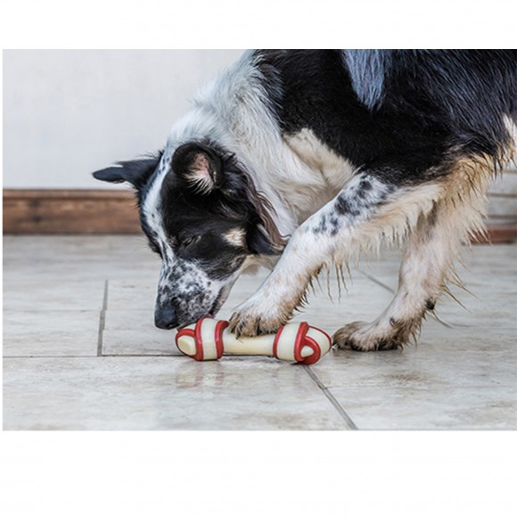 Osso Nylon Para C�o Adulto Roer Vaca L NYLABONE
