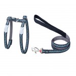 Peitoral /Trela P/Gat Nyln Pret 21-35 MM RED DINGO