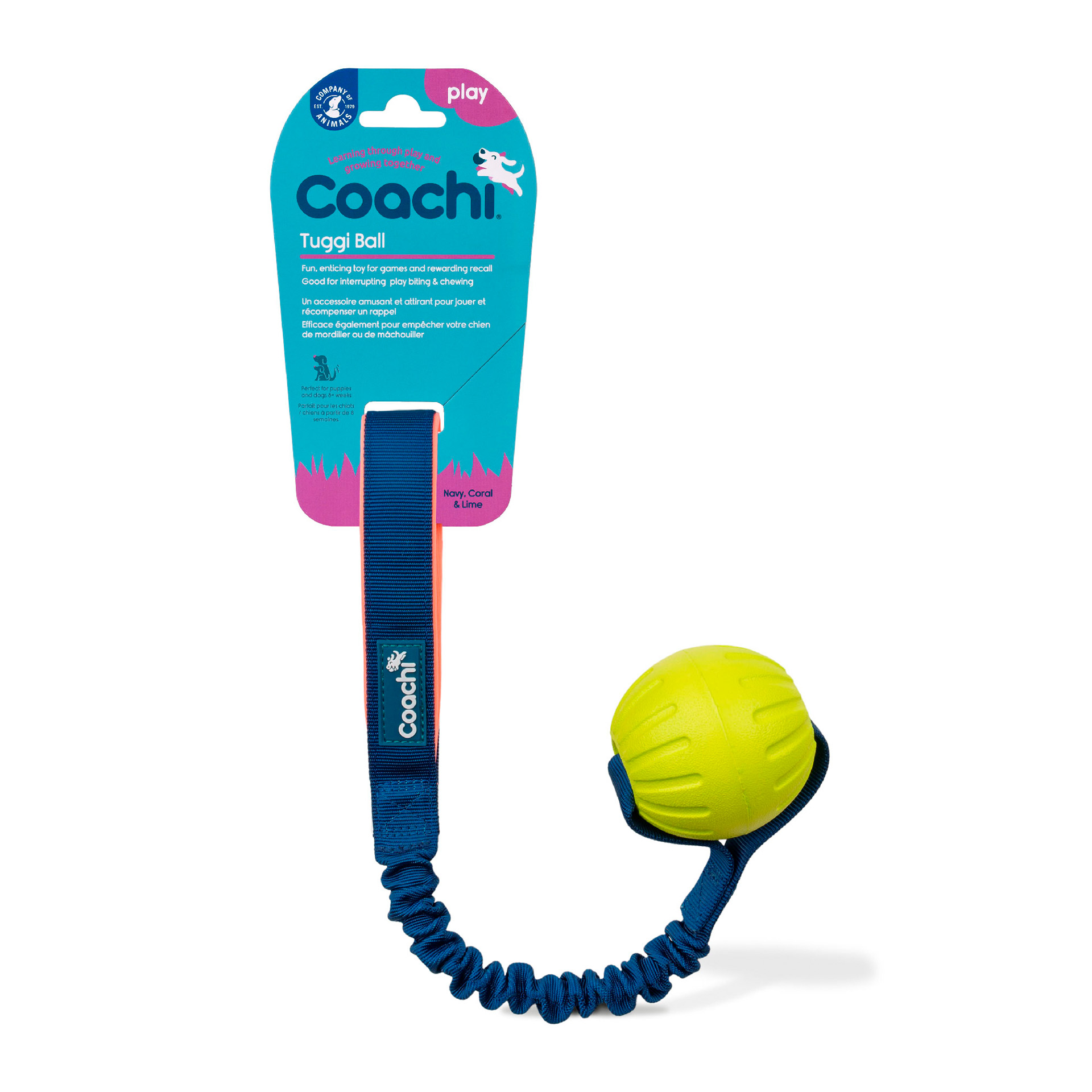 Bola Com Pega De Treino Para Cão COACHI