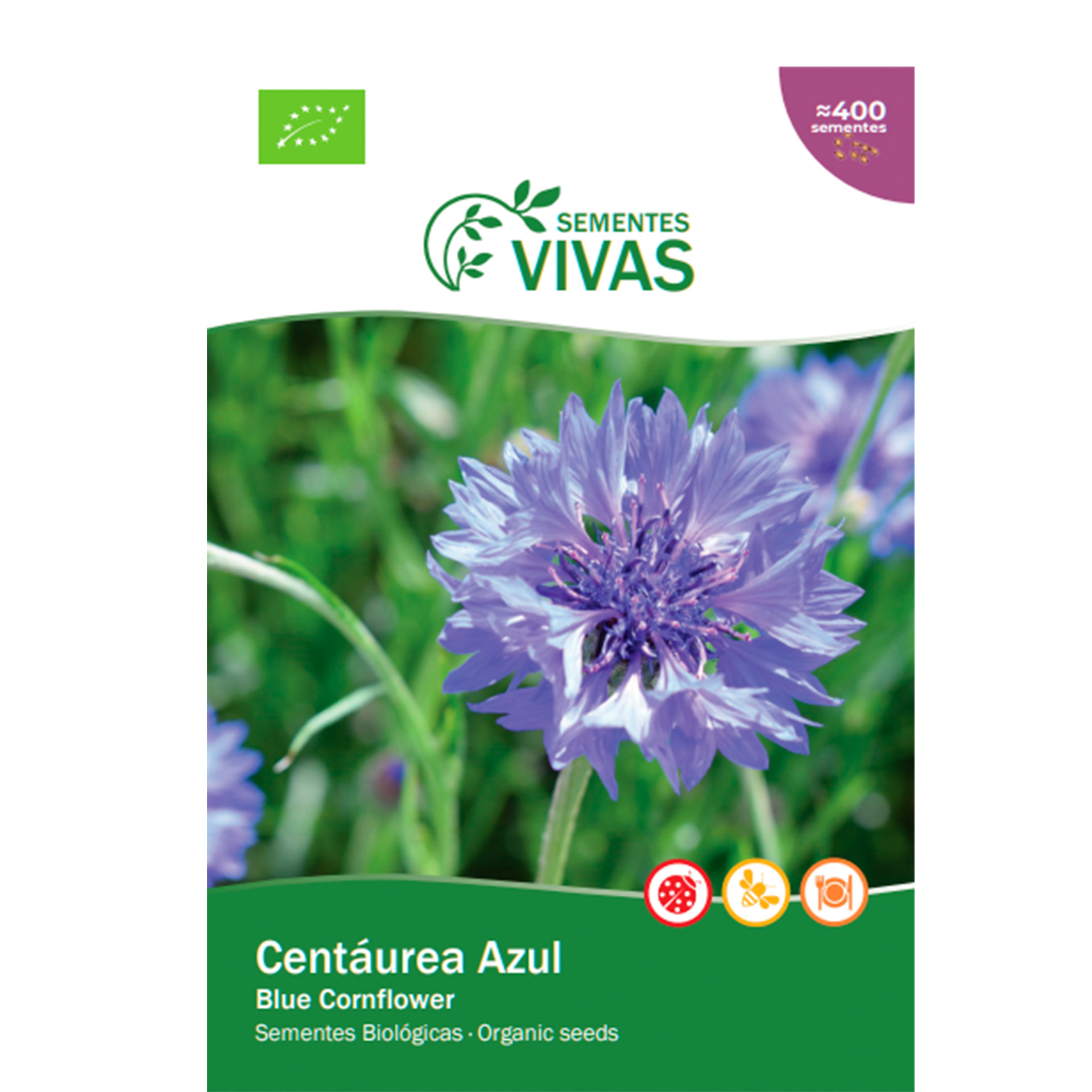 Centaurea Azul 2 G SEMENTES VIVAS