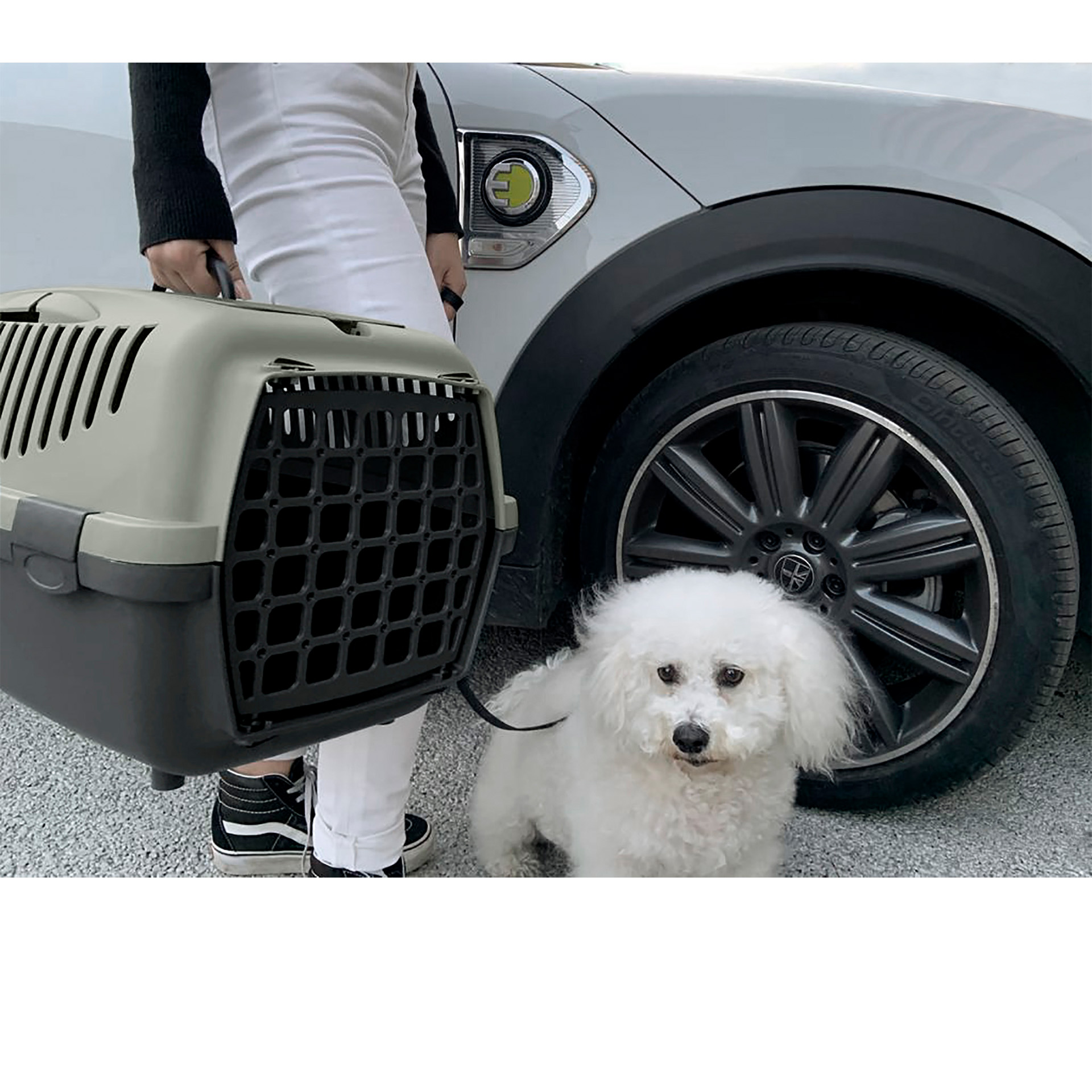 Transportadora Green 48X32X31 CM STEFANPLAST