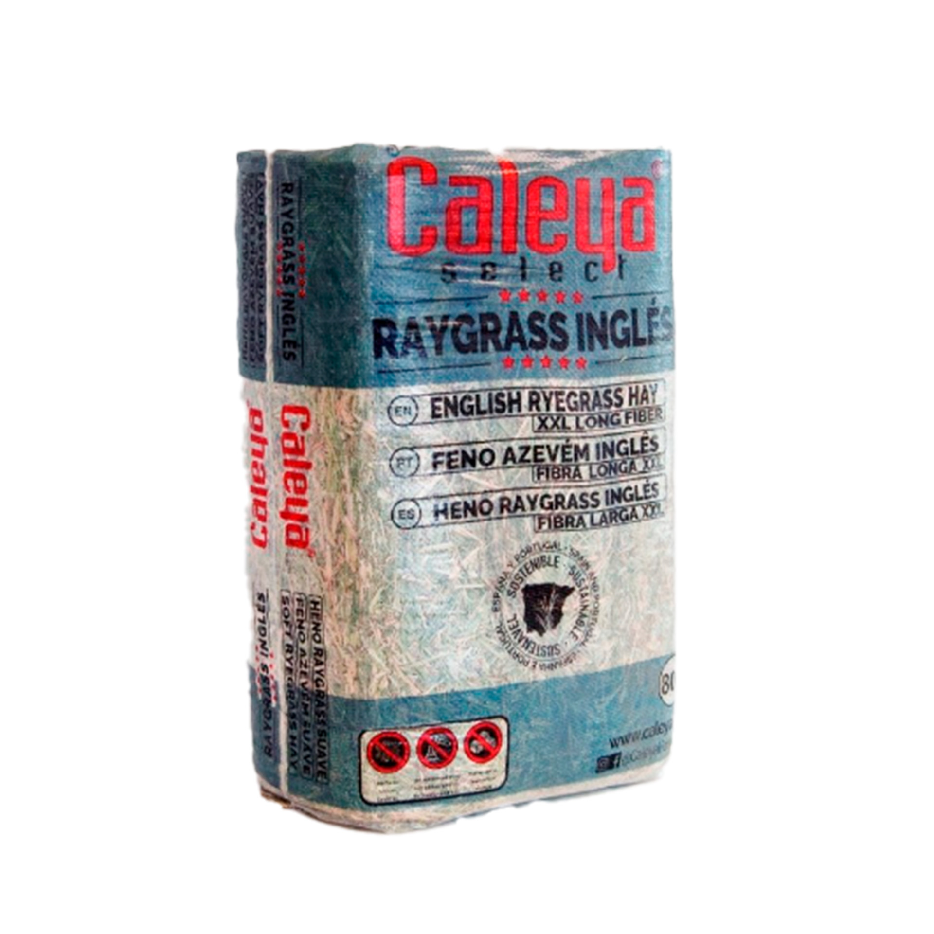 Feno Seco Azevém Inglês 80 L CALEYA