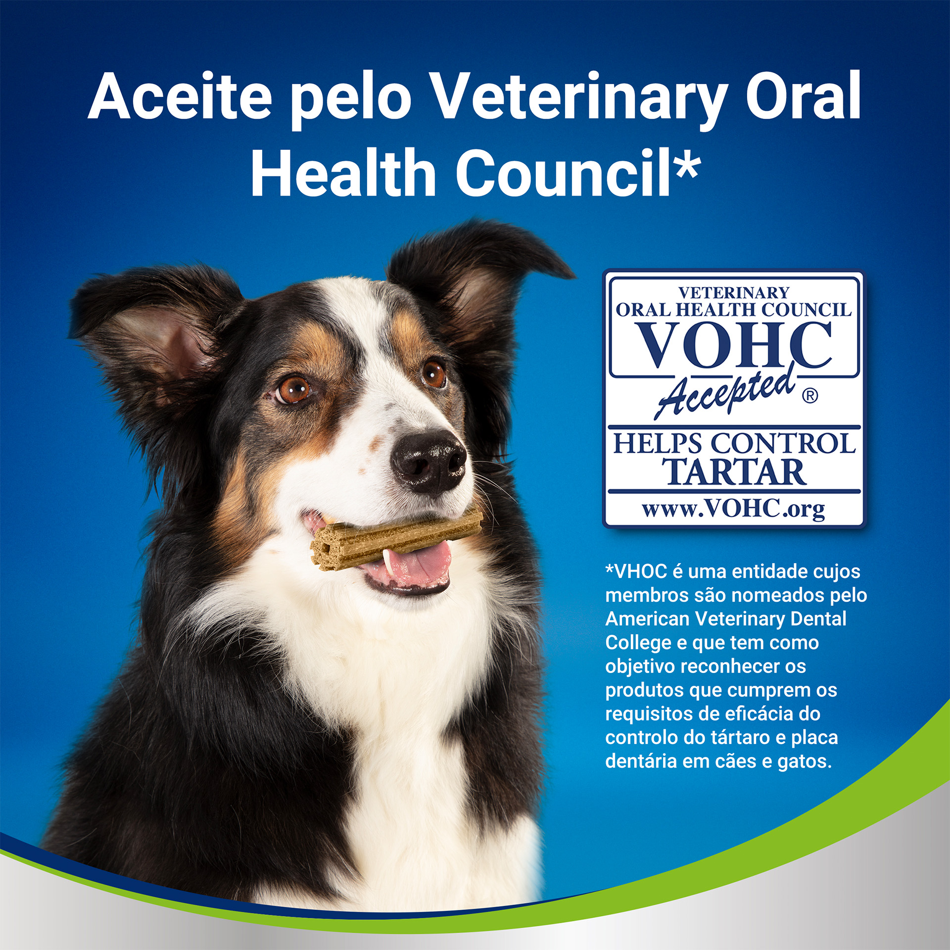 Snack Dental P/Cão Medium 42 UN 49 GR DENTALIFE