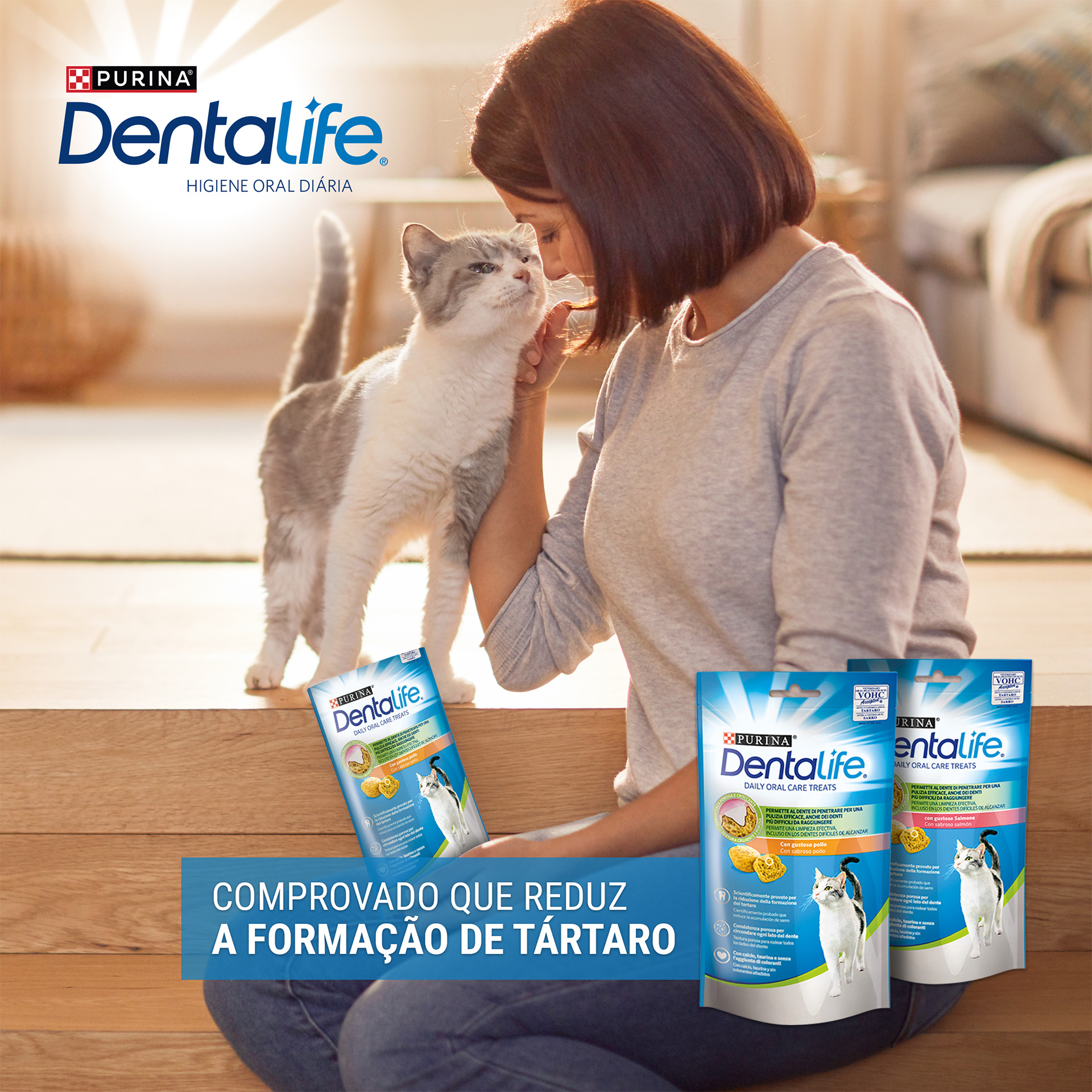 Snack Dental Para Gato Salmão 40 G DENTAL LIFE