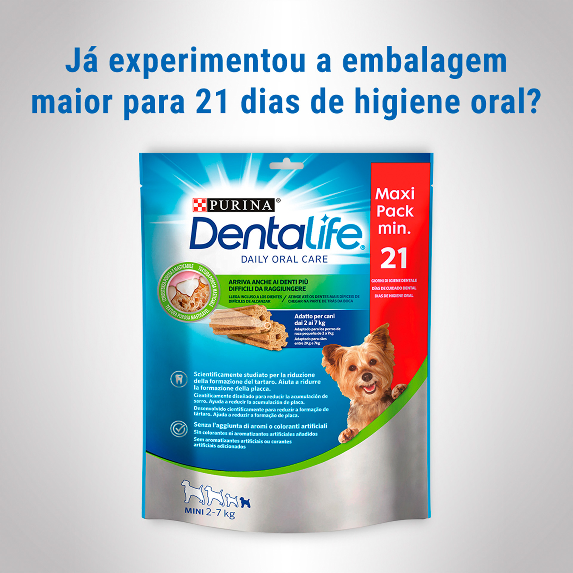 Snack Dental Cão Extr Peq 7 UN 69 G DENTAL LIFE