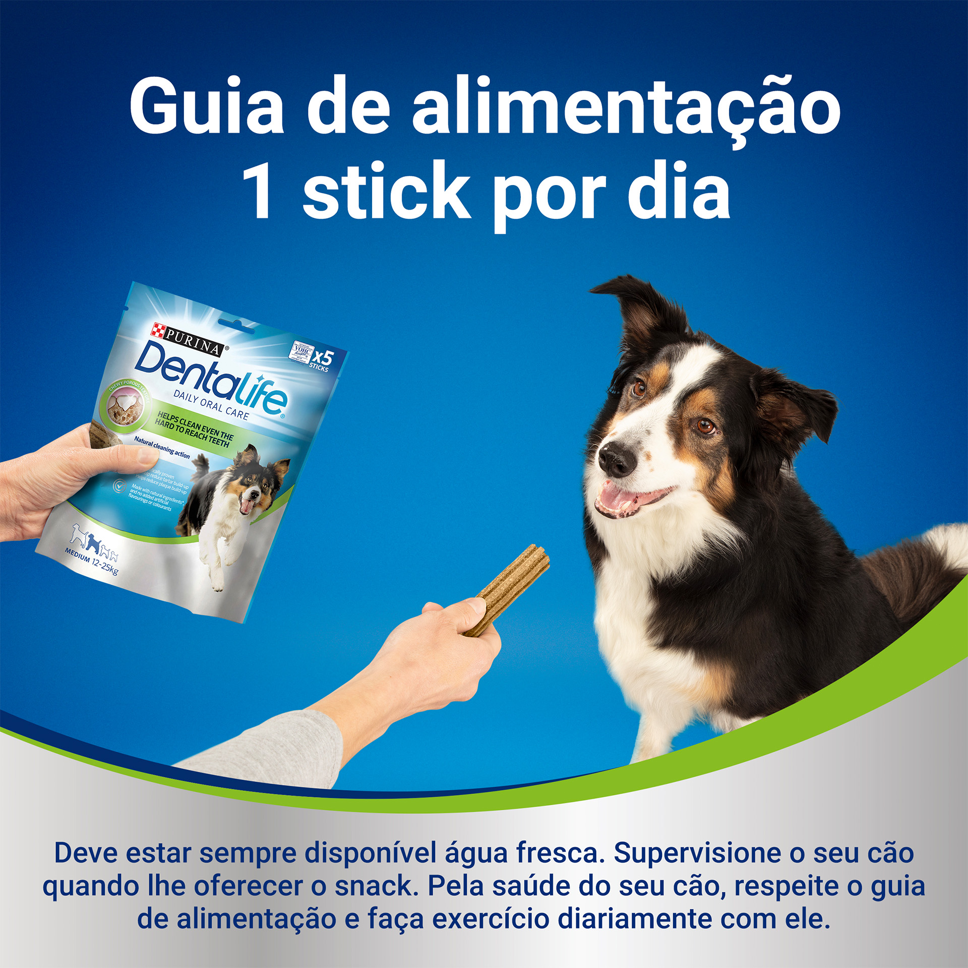 Snack Dental Para Cão Médio 5 UN 345 G DENTAL LIFE