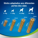 Snack Dent Cão Extr Peq 21 UN 207 G DENTAL LIFE Snack Dent Cão Extr Peq 21 UN 207 G DENTAL LIFE