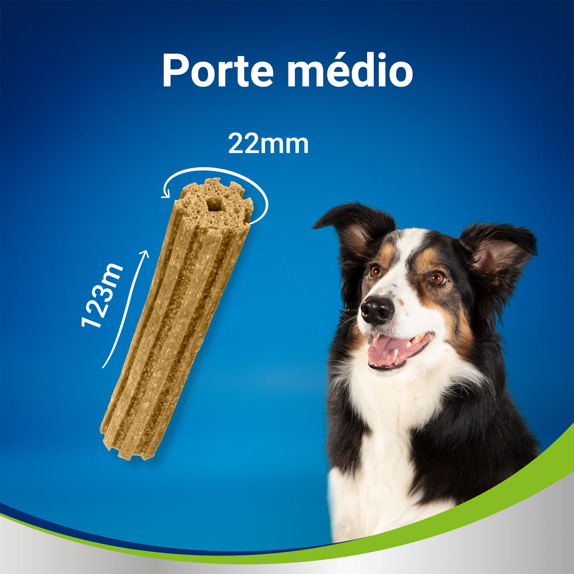Snack Dental Para Cão Médio 115 G DENTAL LIFE