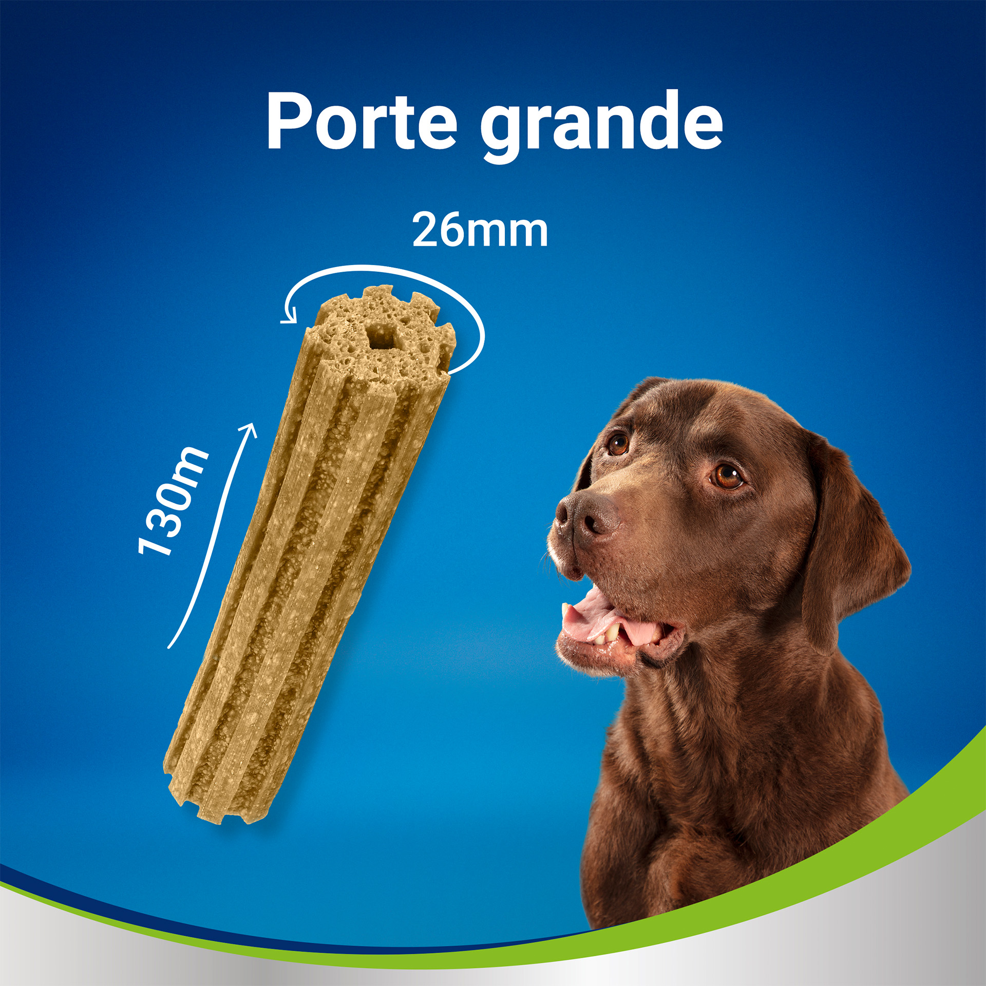 Snack Dental Cão Grande 12 UN 426 G DENTAL LIFE