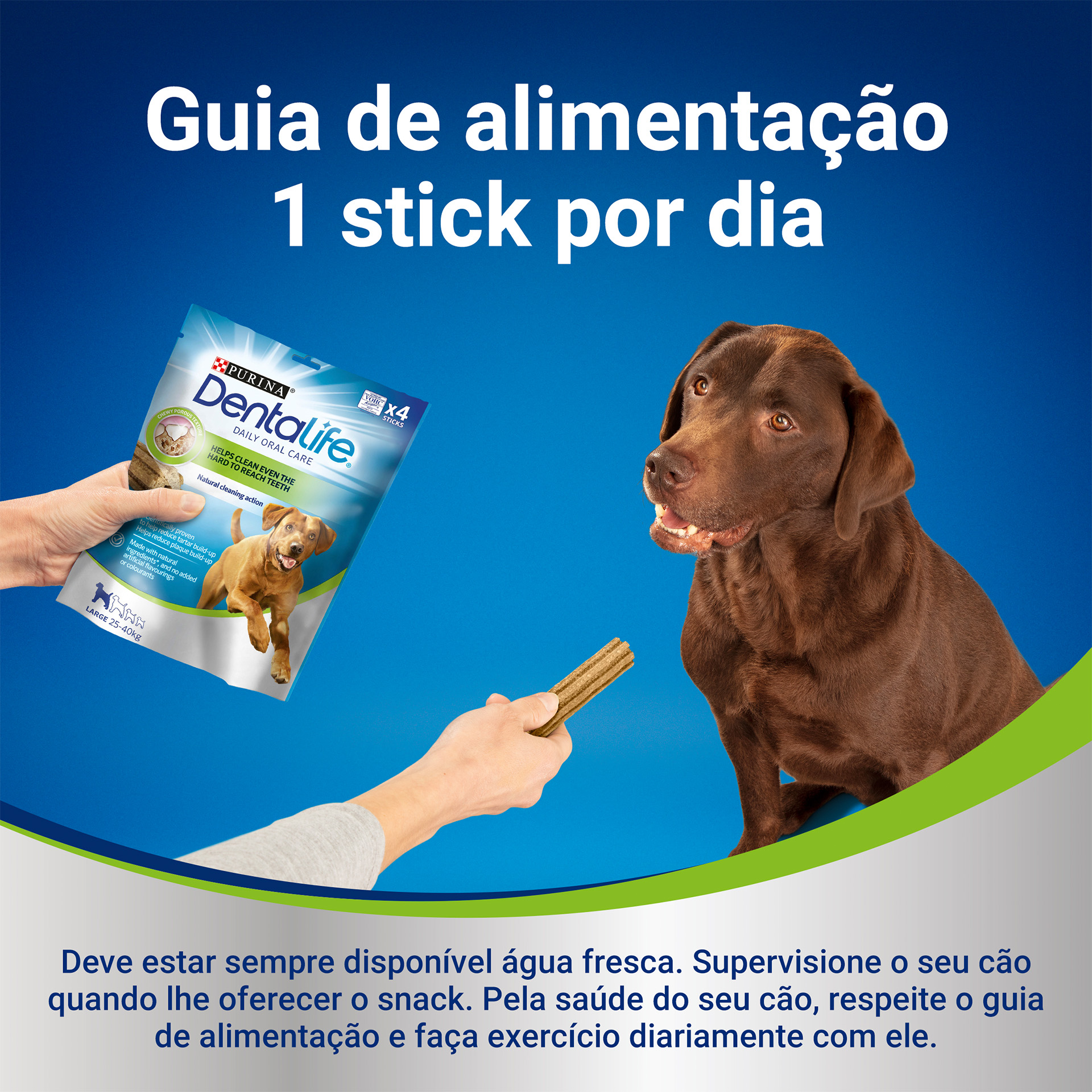 Snack Dental Cão Grande 12 UN 426 G DENTAL LIFE