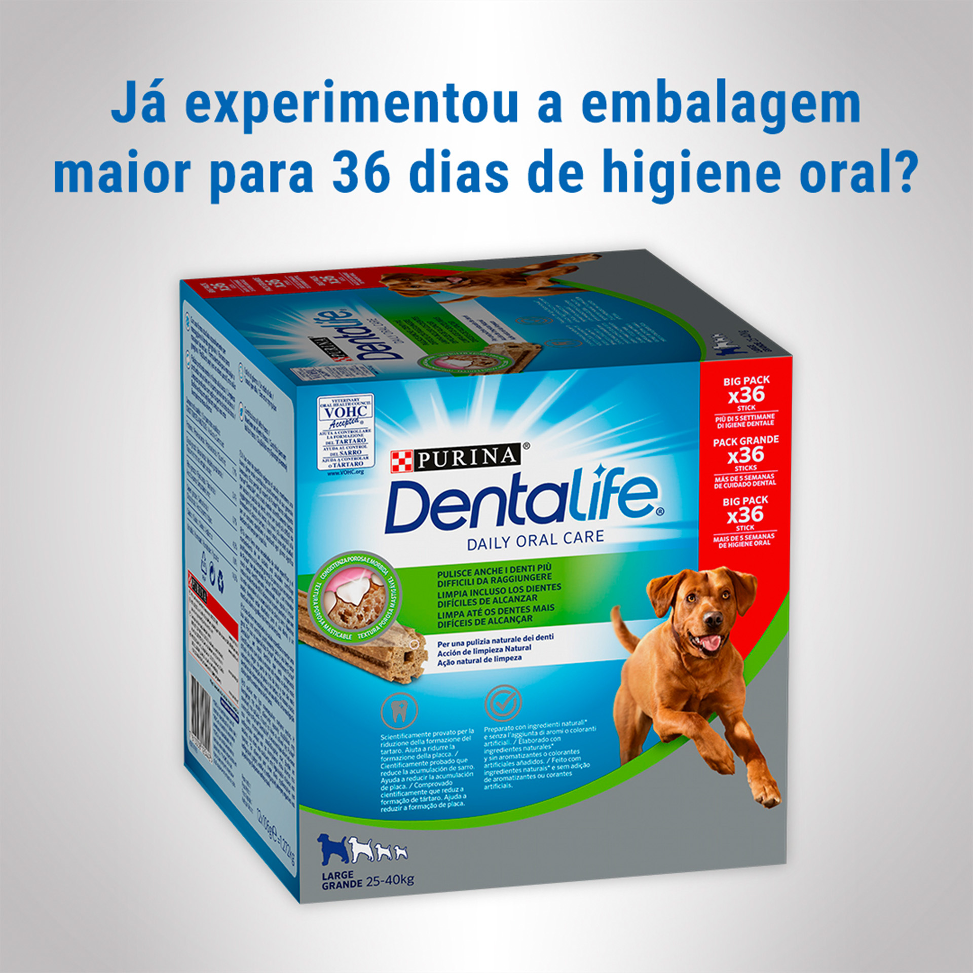 Snack Dental Cão Grande 12 UN 426 G DENTAL LIFE