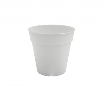 Vaso Orqudea Madagscar 15 CM ARTEVASI