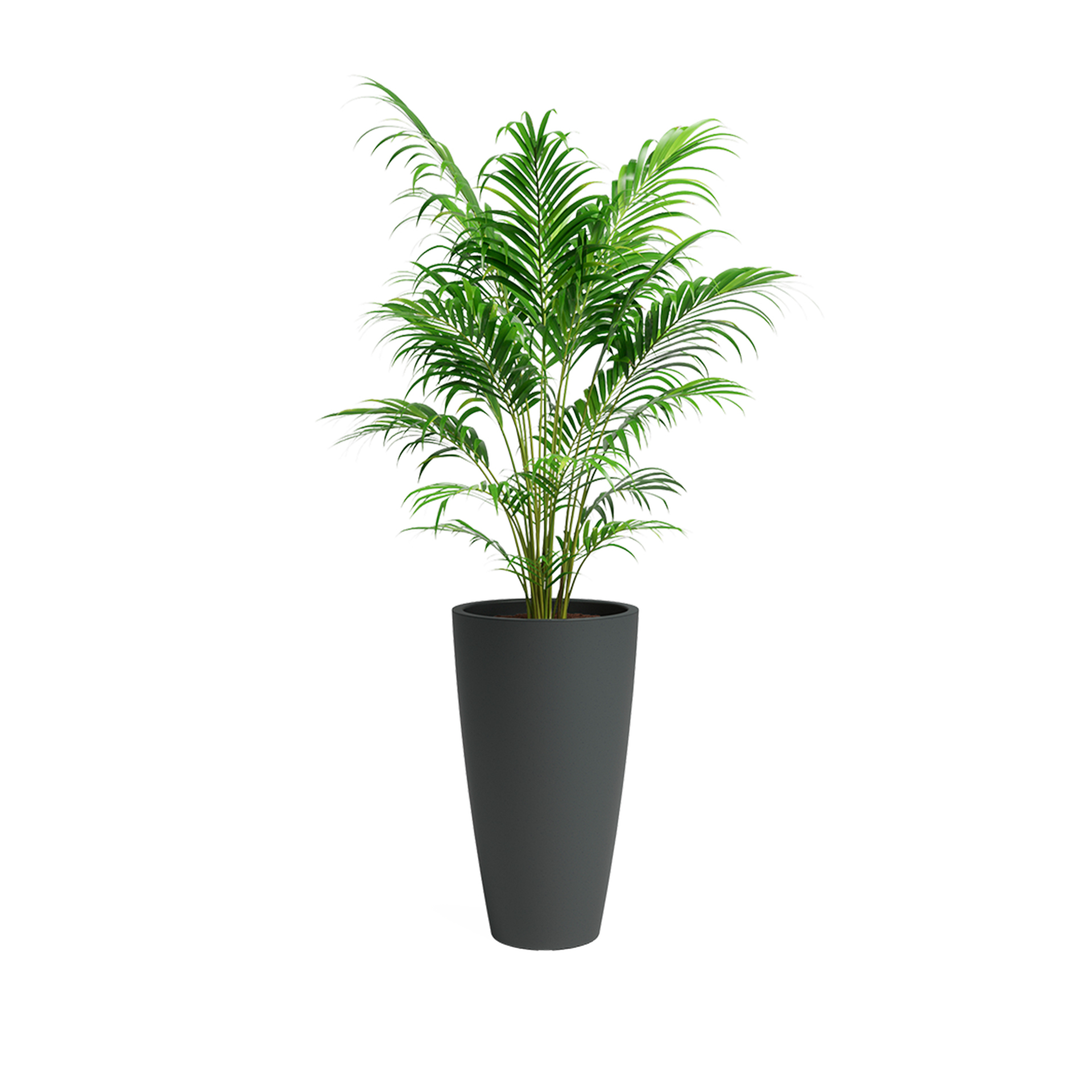 Vaso Havana Natur Vulcano Antracite 70 CM ARTEVASI