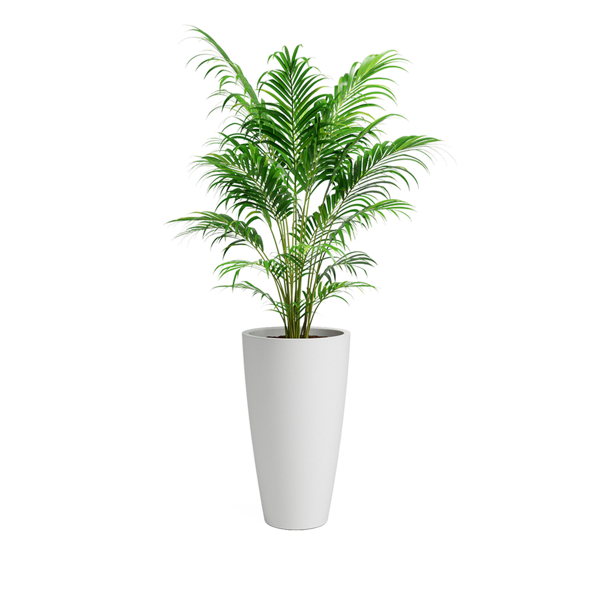 Vaso Havana Natural Branco 70 CM ARTEVASI